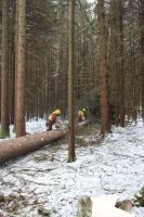 Lindenburschen Neubiberg - Maibaum fällen 30.12.2017 - IMG_3343